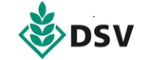 DSV Logo